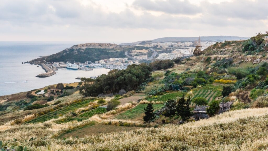 L-għalqa jqabbilha lil bdiewa oħra